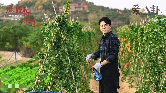 靳东新剧温暖的味道j剧照