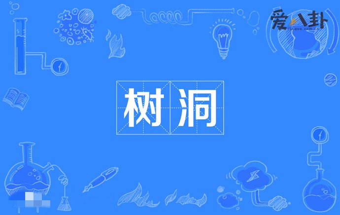网络词树洞的来源