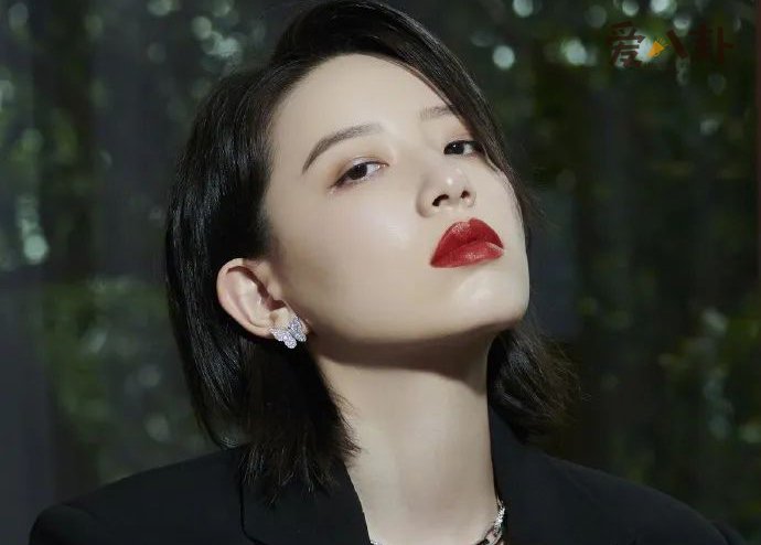 李斯丹妮为什么不红