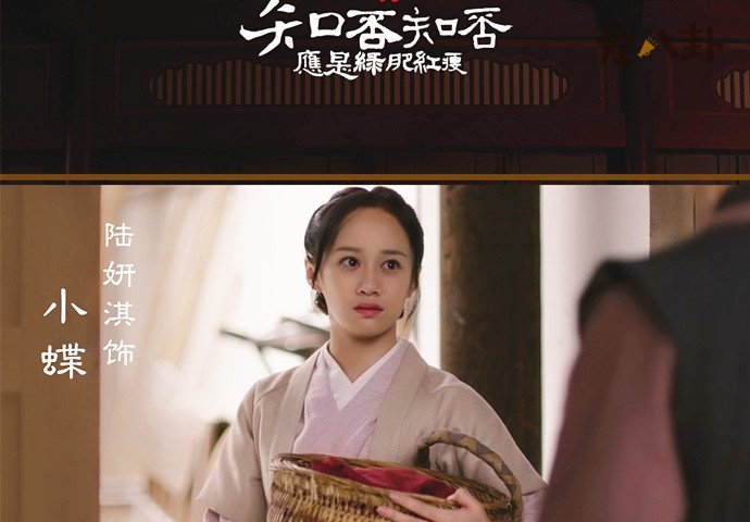 陆妍淇知否剧照