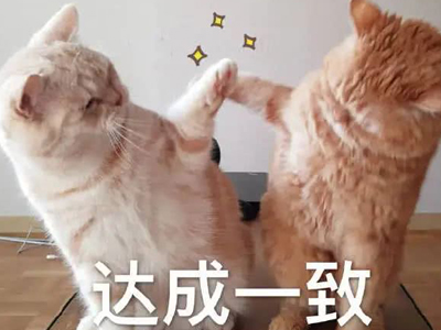 拿来吧你是什么梗 起底该梗由来究竟啥意思