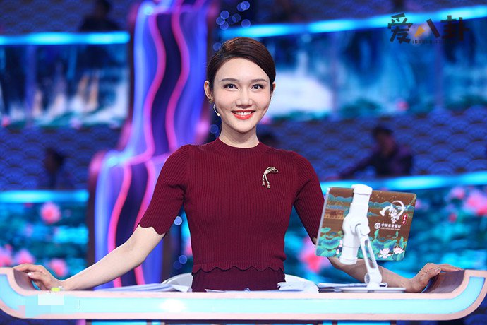 龙洋主持过什么节目