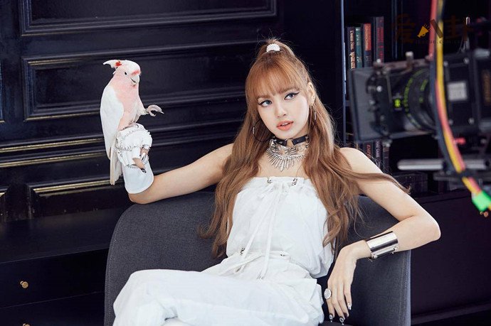韩媒曝BLACKPINK成员lisa即将solo出道
