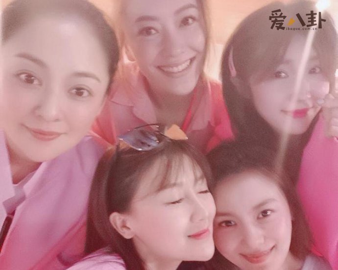 为什么叫泰迪姐妹团