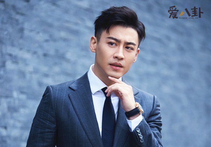 演员刘凯几几年的
