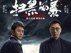 扫黑风暴回应抄袭 是甩锅还是真的不知情