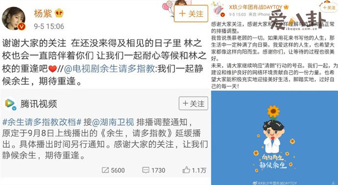 杨紫肖战回应余生改档