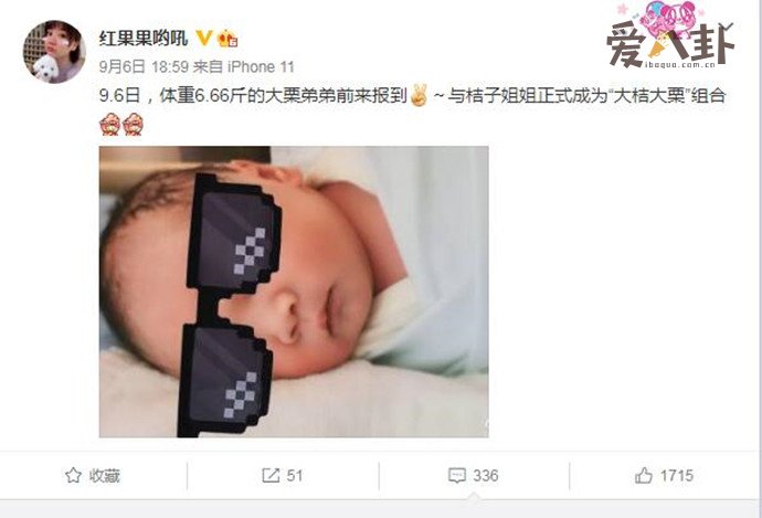 央视主持人红果果二胎生子