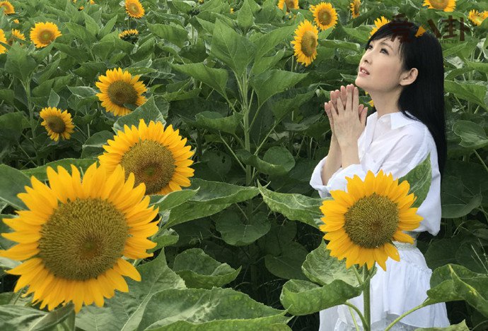 周慧敏为什么没生孩子
