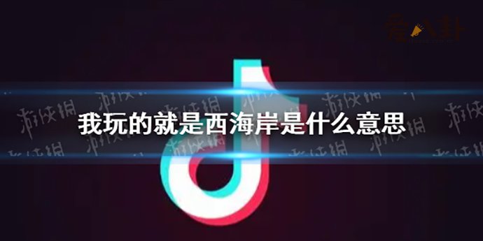 西海岸是什么梗