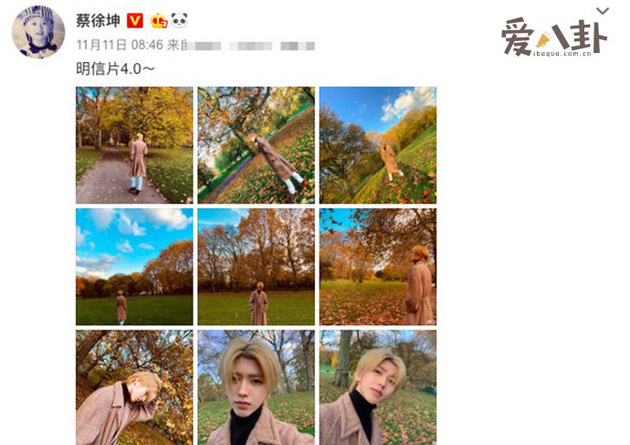 蔡徐坤有在利兹读书吗