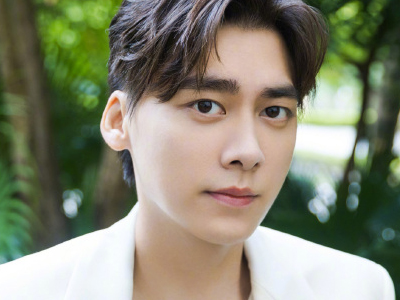 李易峰交通逃逸事件 李易峰逃逸是为了不追究法律责任吗