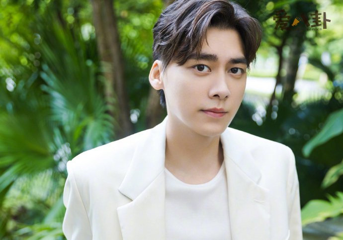李易峰交通逃逸事件