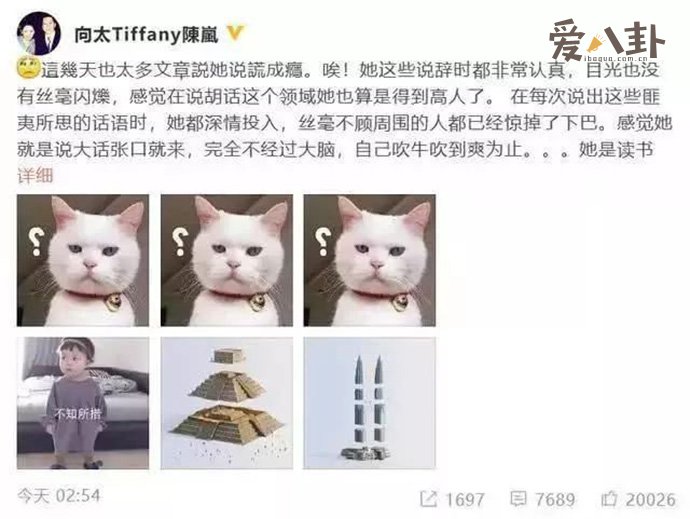 向太吐槽张柏芝
