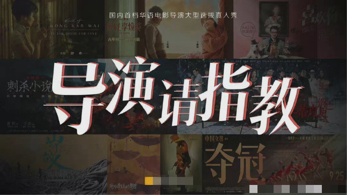 导演请指教是什么