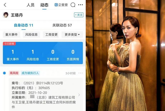 王珞丹拖欠工程款被强制执行