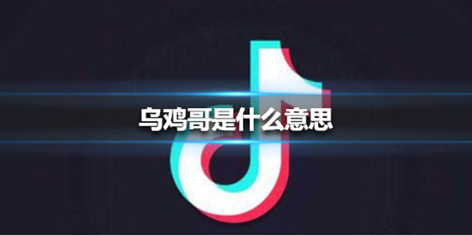 抖音乌鸡哥是什么意思
